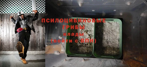 винт Липки