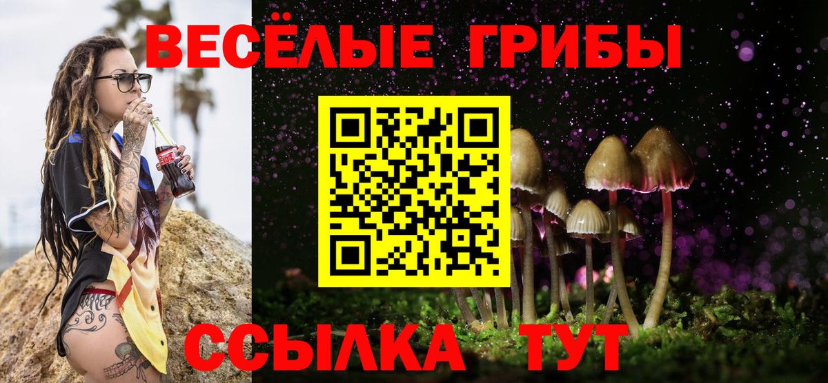 Галлюциногенные грибы мухоморы  где найти   Волжский  Вход с VPN  Псилоцибиновые грибы мицелий 